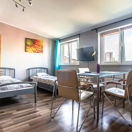 Sunny Glow Loqus פלוק