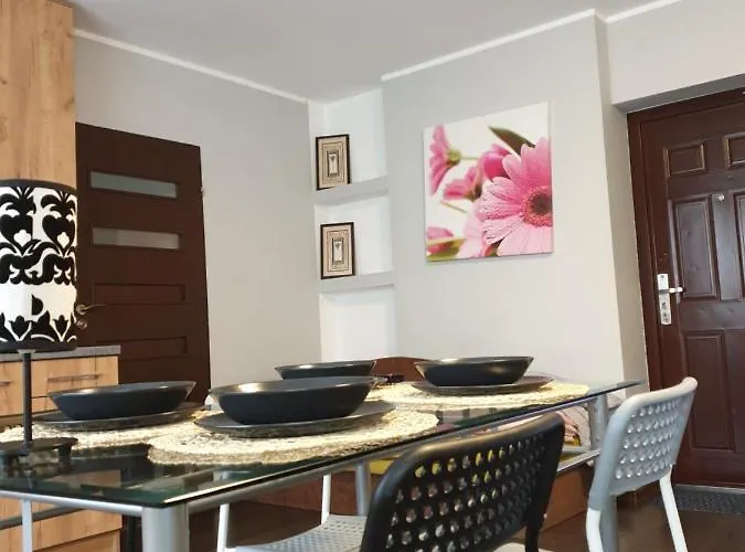 Sunny Glow Loqus 프우크